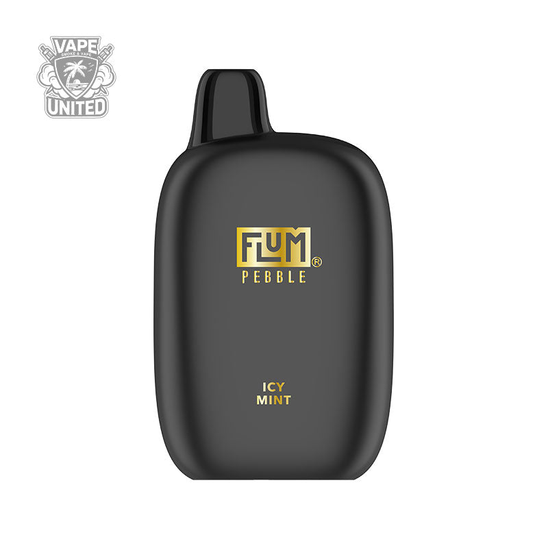 FLUM Pebble | 6,000 Puffs